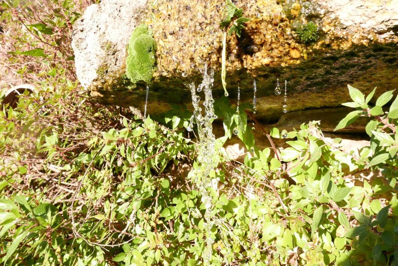 Casa Do Meio Em Quinta De Sao Pedro De Vir-A-Corca Monsanto Eksteriør billede