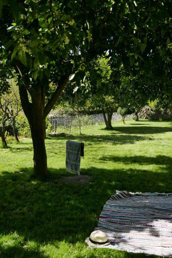 Casa Do Meio Em Quinta De Sao Pedro De Vir-A-Corca Monsanto Eksteriør billede