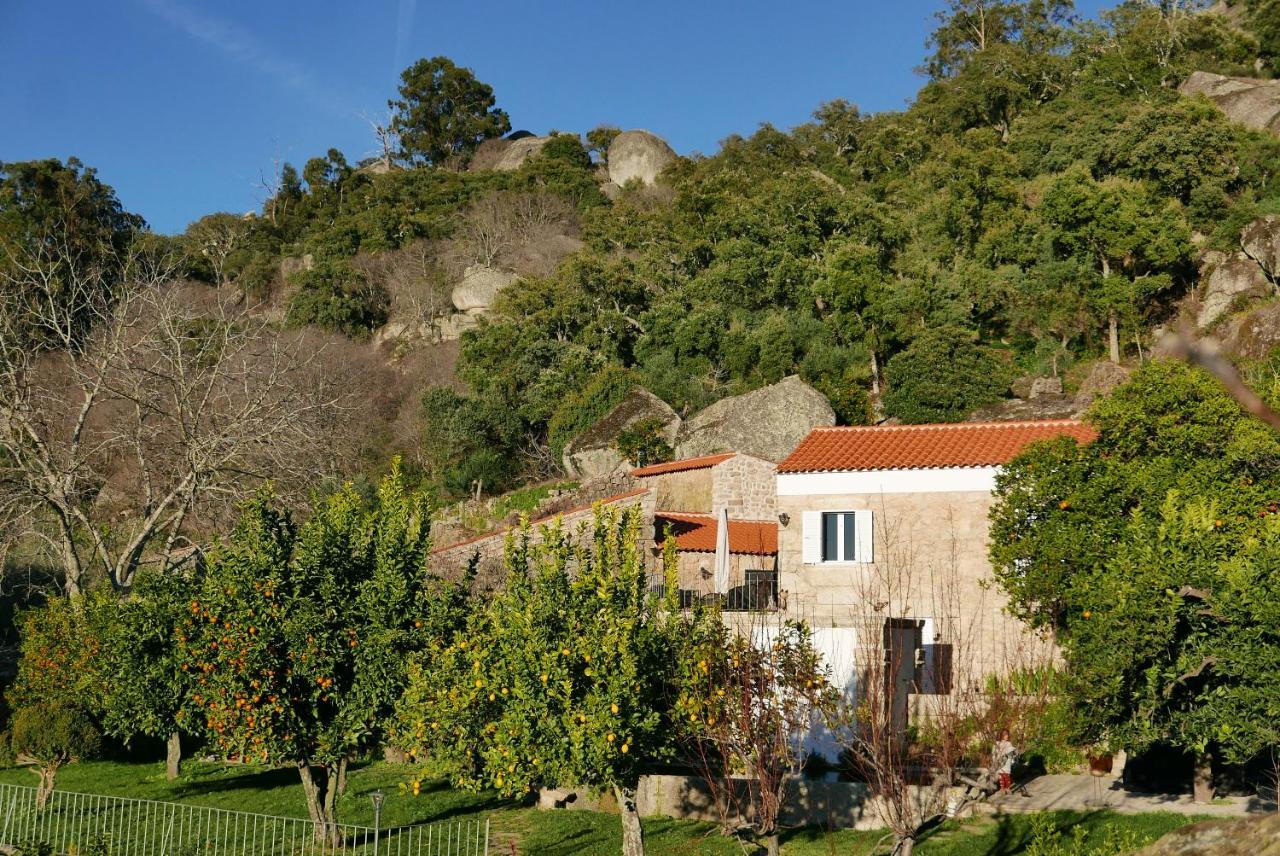 Casa Do Meio Em Quinta De Sao Pedro De Vir-A-Corca Monsanto Eksteriør billede