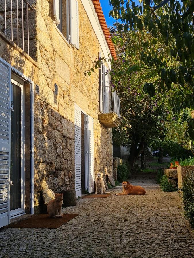 Casa Do Meio Em Quinta De Sao Pedro De Vir-A-Corca Monsanto Eksteriør billede