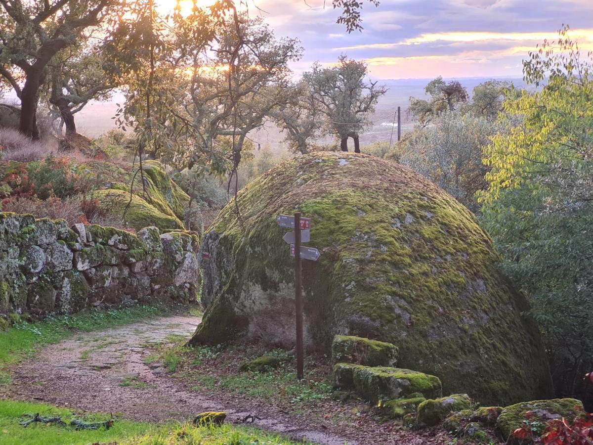 Casa Do Meio Em Quinta De Sao Pedro De Vir-A-Corca Monsanto Eksteriør billede