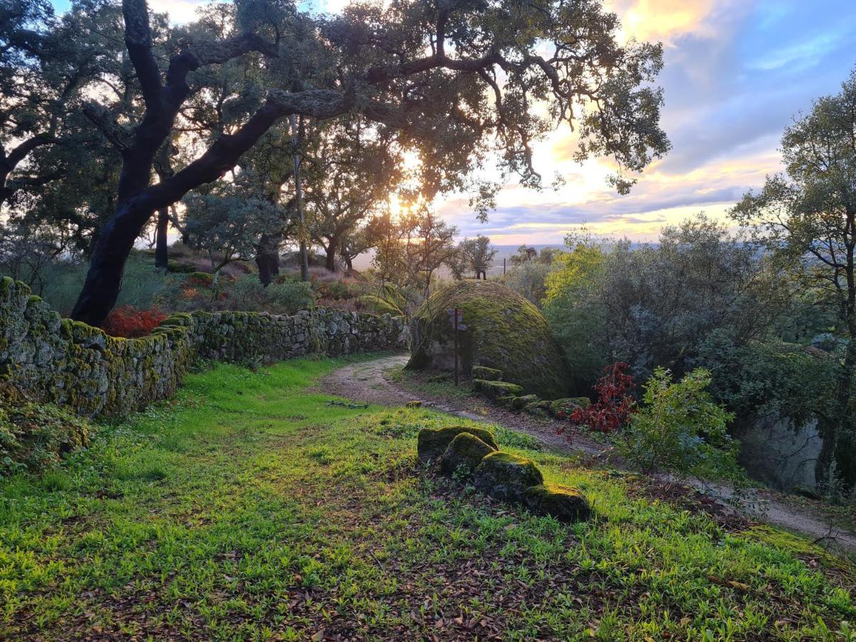 Casa Do Meio Em Quinta De Sao Pedro De Vir-A-Corca Monsanto Eksteriør billede
